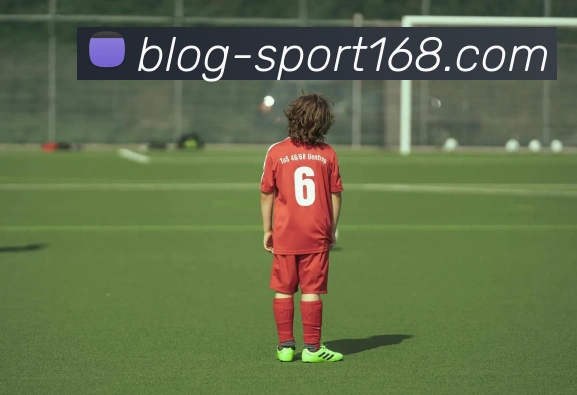 168体育APP 封面图